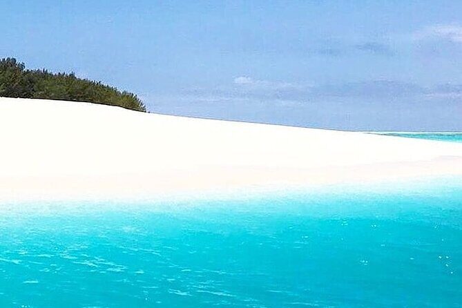 Mnemba Dolphin Tour; Stone Town Tour with Lunch; Jozani Forest - Practical Details and What Sets This Tour Apart