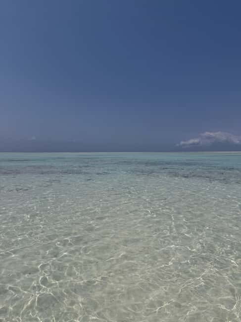 MNEMBA DOLPHIN TOUR, THE LAGOON AQUARIUM & KENDWA BEACH - Key Points