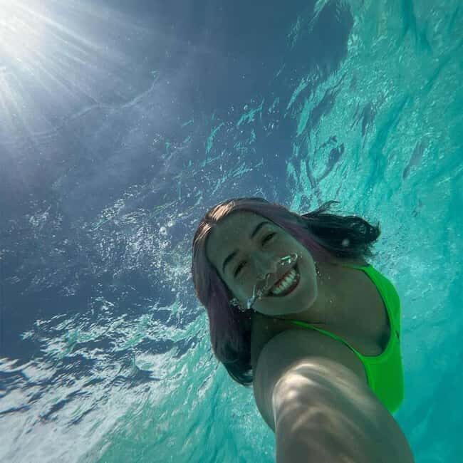 Mnemba Dolphin Watching & Prison Island Adventure With lunch - The Practical Details