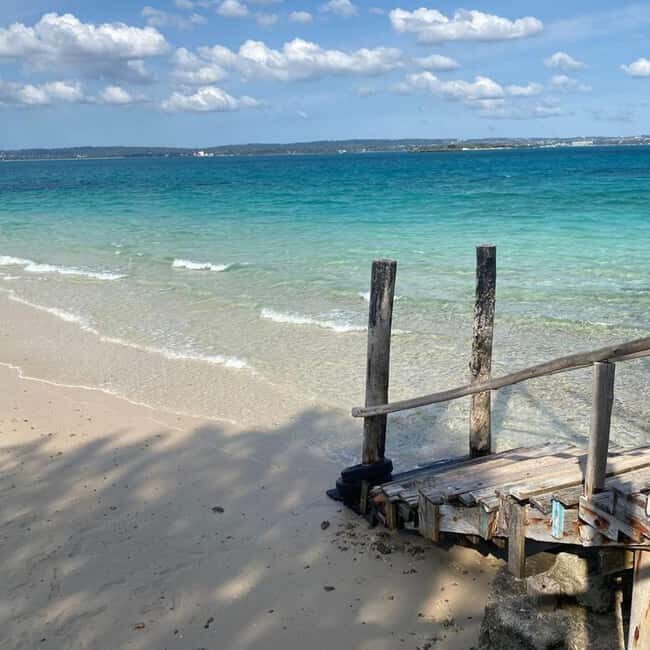 Mnemba Dolphin Watching & Prison Island Adventure With lunch - Who Will Love This Tour?