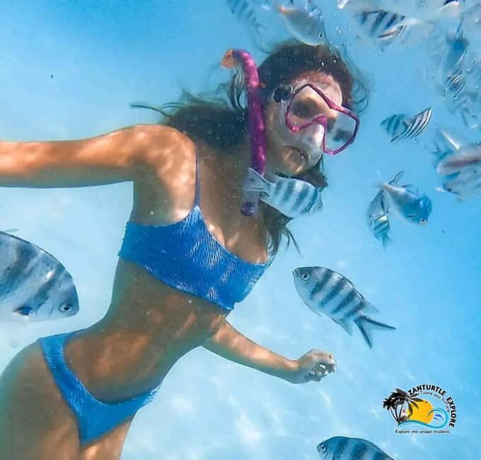 Mnemba Dolphins Tour, Jozani Forest and The Rock Restaurant - Authentic Insights from Travelers