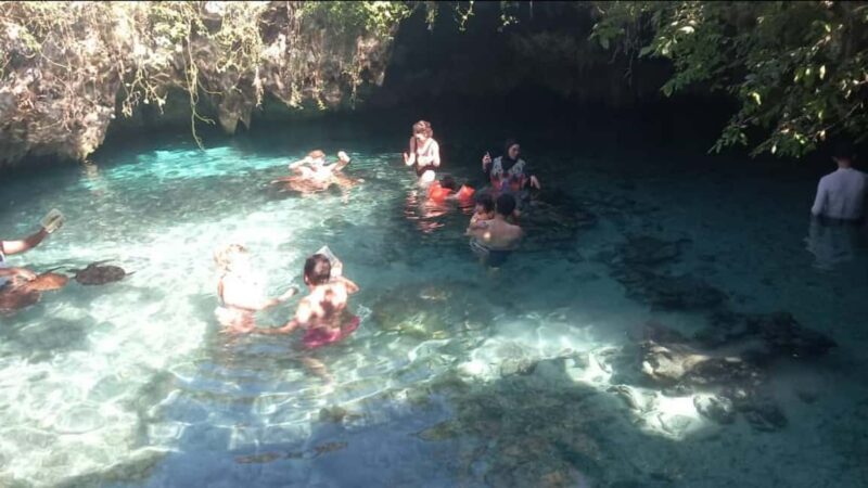Mnemba Island, Aquarium & Sunset Full-Day Tour (With Food) - The Itinerary: A Closer Look