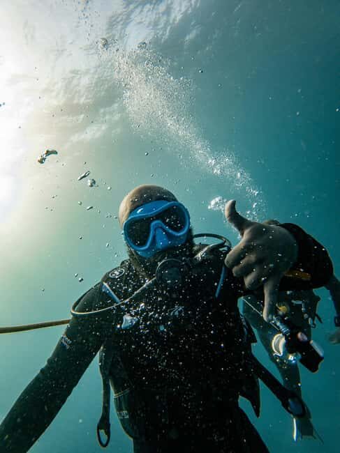 Mnemba Island: Dolphin & Snorkeling Trip with Lunch - Authentic Insights from Reviews