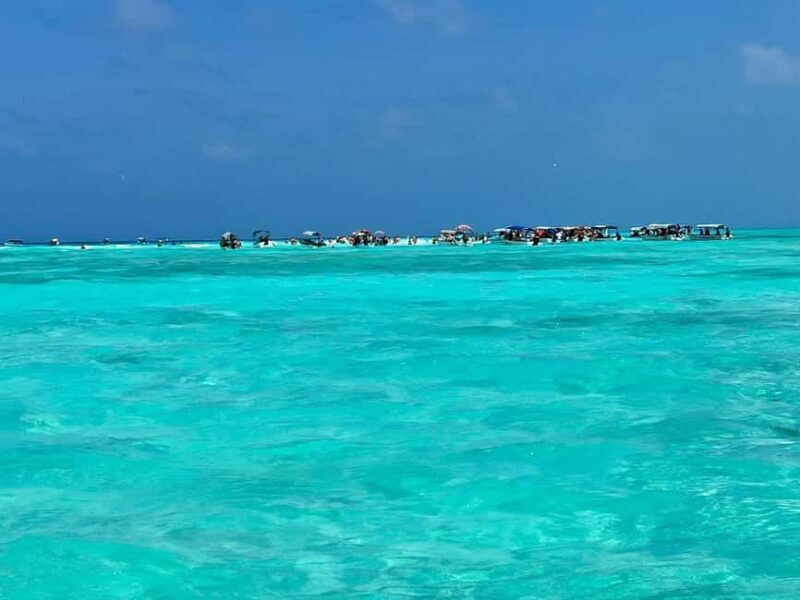 Mnemba Island: Dolphin Swim & Snorkeling with Lunch Option - FAQs