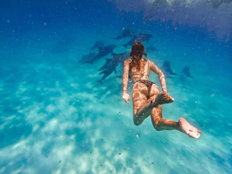 Mnemba Island: Dolphin Swim & Snorkeling with Optional Lunch - An Overview of the Tour