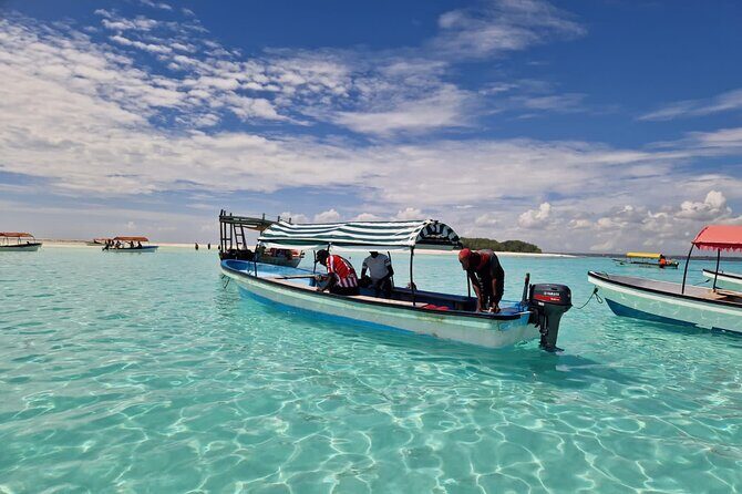 Mnemba Island Dolphin Tour and Stonetown Walking Tour - Exploring Mnemba Island: The Marine Paradise
