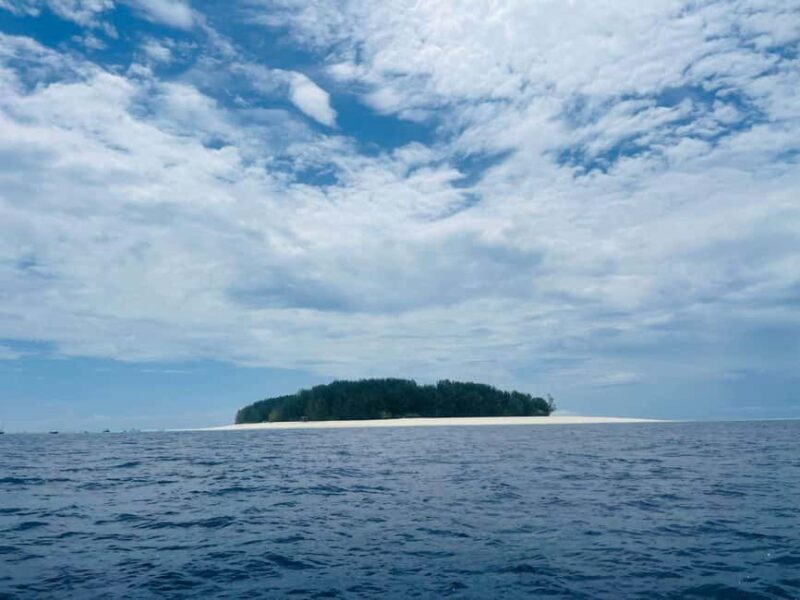 Mnemba island Dolphin tour, snorkeling with options of lunch - Exploring the Mnemba Island Dolphin & Snorkeling Tour: A Deep Dive into Zanzibar’s Marine Paradise