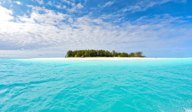 Mnemba island Dolphin tour, snorkeling with options of lunch - Key Points