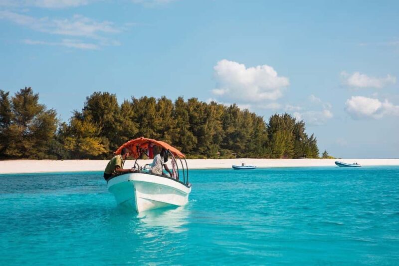 Mnemba island Dolphin tour, snorkeling with options of lunch - Who Should Consider This Tour?