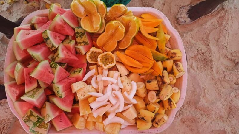 Mnemba island Dolphin tour, snorkeling with options of lunch - Final Thoughts