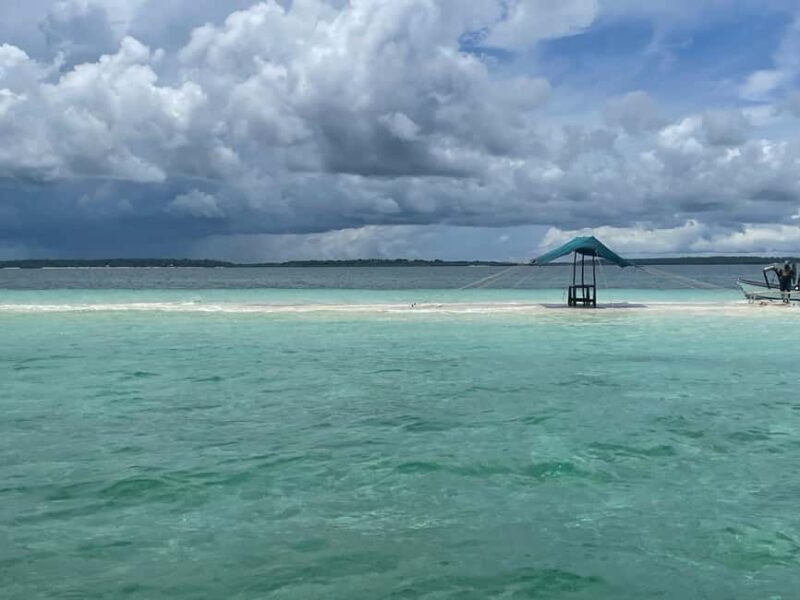 Mnemba island Dolphin tour, snorkeling with options of lunch - Frequently Asked Questions