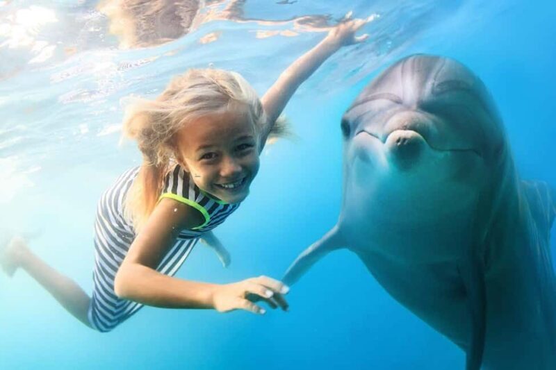 Mnemba Island: Guided Snorkeling & Dolphin Swim Experience - Exploring Mnemba Island: A Natural Treasure