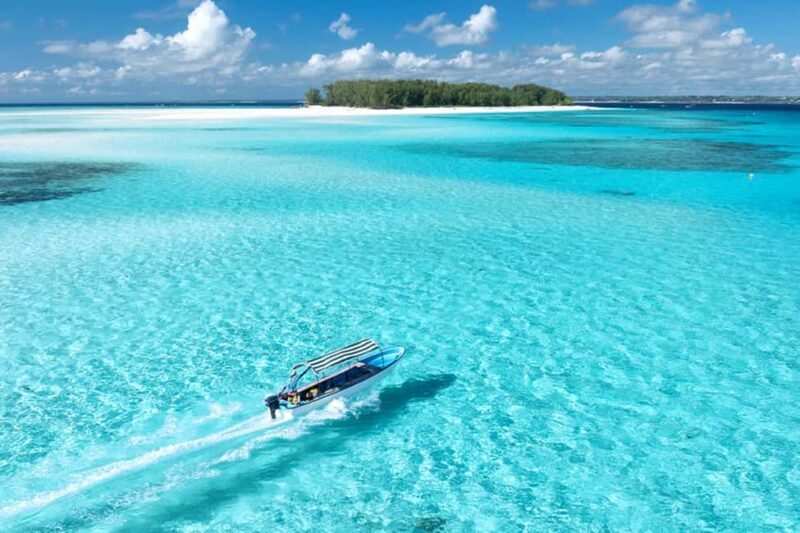 Mnemba Island: Guided Snorkeling & Dolphin Swim Experience - Who is This Tour Best For?
