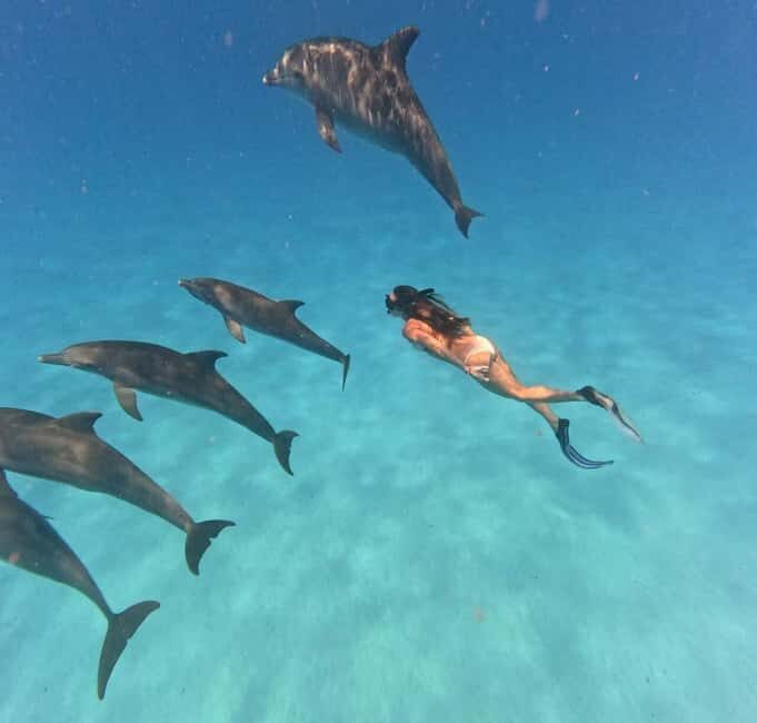 Mnemba Island: Half-Day Dolphin Swim & Snorkeling Boat Trip - The Itinerary Breakdown: What to Expect