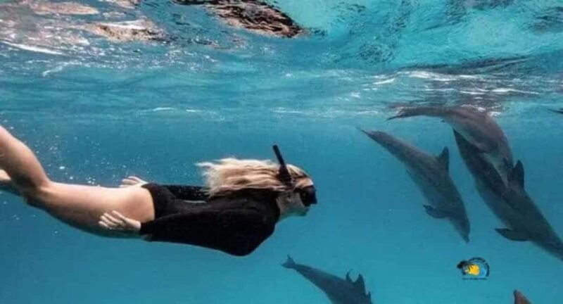 Mnemba Island: Half-Day Dolphin Swim & Snorkeling Boat Trip - Who Is This Tour Best Suited For?