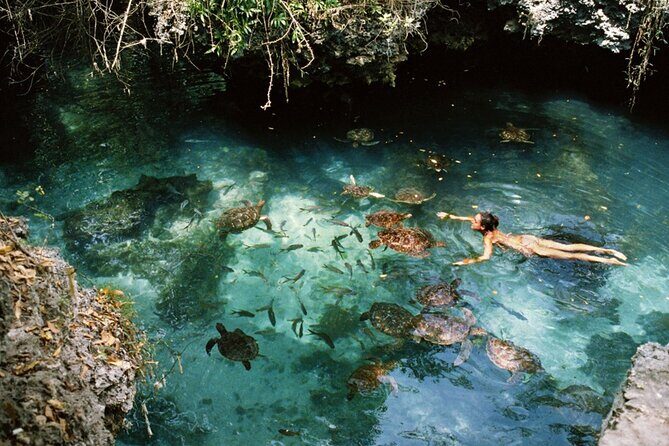 Mnemba Island, Nungwi Village & Sea Turtle Experience - Practical Tips for Future Travelers
