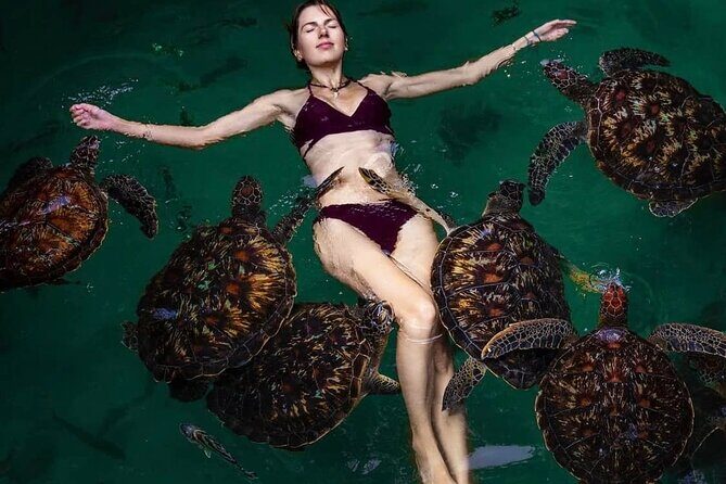 Mnemba Island, Nungwi Village & Sea Turtle Experience - The Sum Up