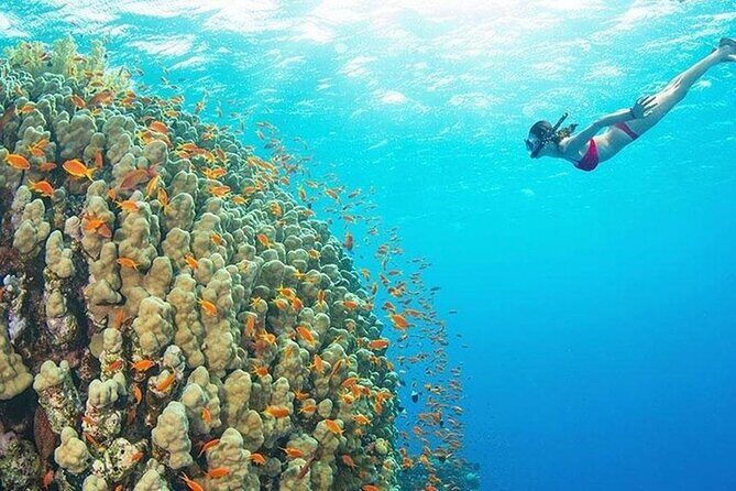 Mnemba Island, Nungwi Village & Sea Turtle Experience - FAQ