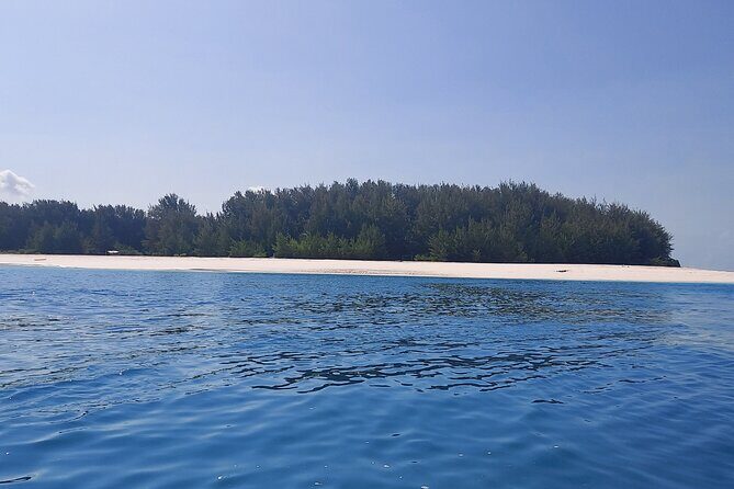 Mnemba Island Snorkeling and Dolphin tour - Key Points