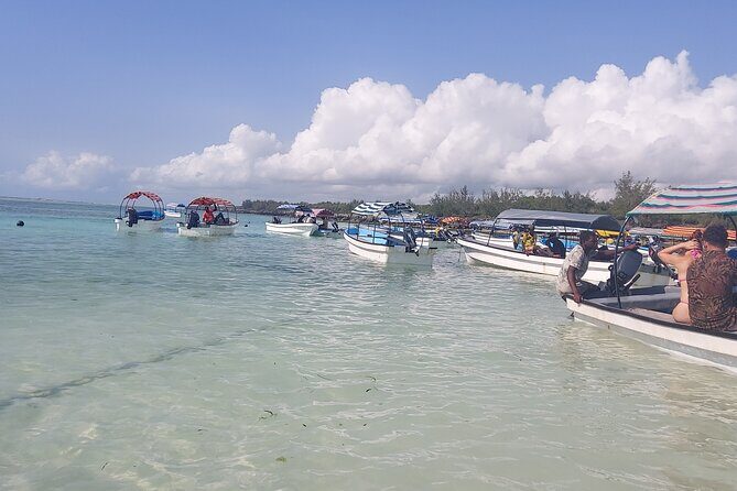 Mnemba Island Snorkeling and Dolphin tour - Watching & Swimming with Dolphins