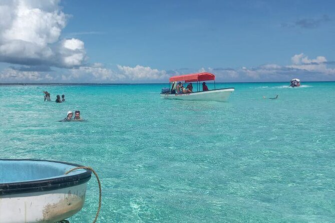 Mnemba Island Snorkeling and Dolphin tour - Practical Details & What to Expect