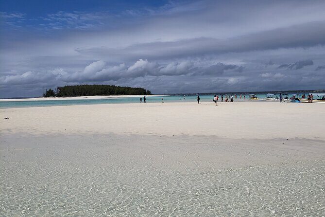 Mnemba Island snorkeling and Swimming with Dolphin - Who Would Love This Tour?