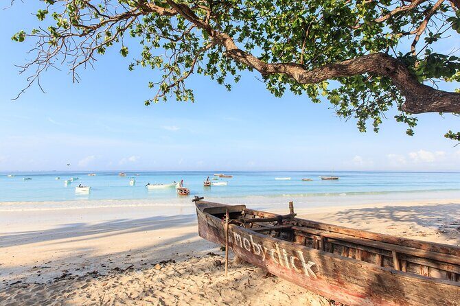 Mnemba Island Snorkeling and Swimming with Dolphins - The Experience: What to Expect on the Tour