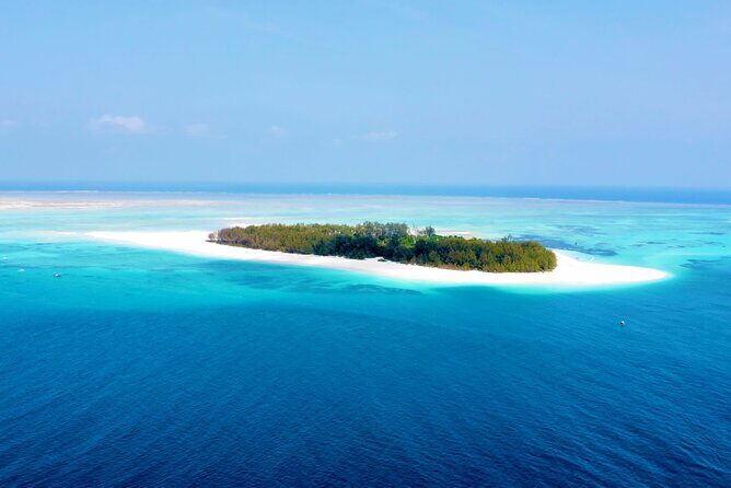 Mnemba island snorkeling tour - Key Points