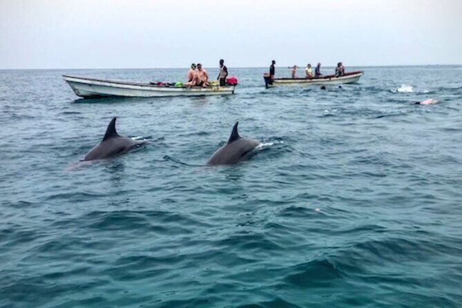 Mnemba Island Swim with Dolphins and Snorkeling (Sea food Lunch) - Key Points