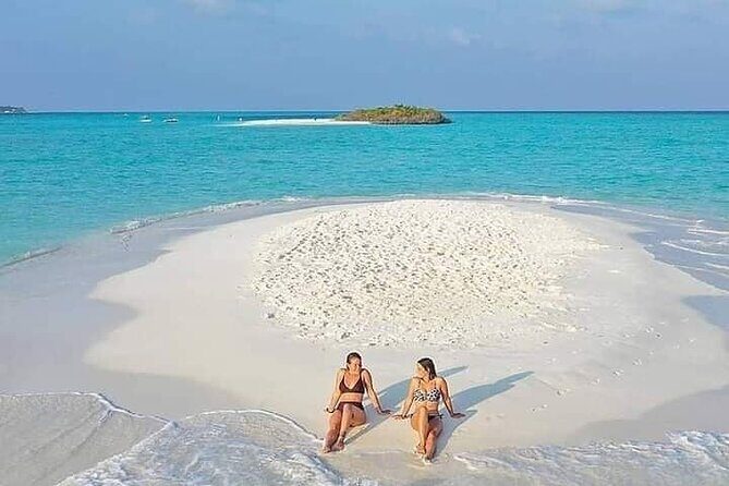 Mnemba Island Swim with Dolphins and Snorkeling (Sea food Lunch) - An In-Depth Look at the Tour Experience