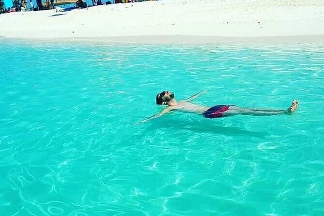 Mnemba Island Swim with Dolphins and Snorkeling (Sea food Lunch) - The Sum Up: Who Will Love This Tour?