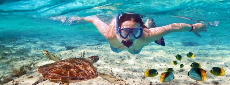 Mnemba island & swimming with turtles, in nungwi - Key Points