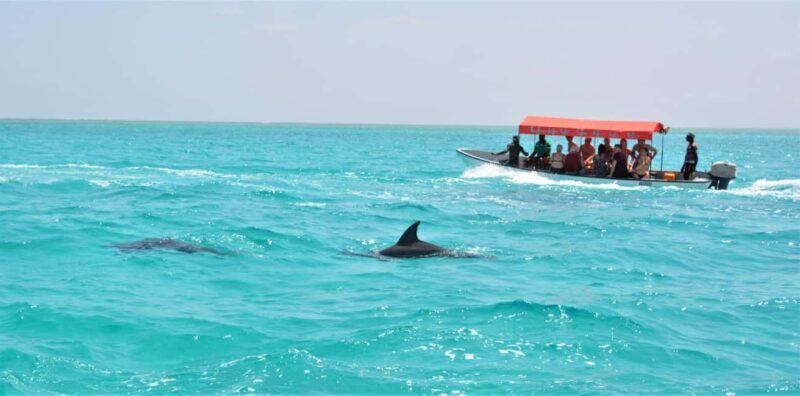 Mnemba Island Tour with Transfer - Key Points