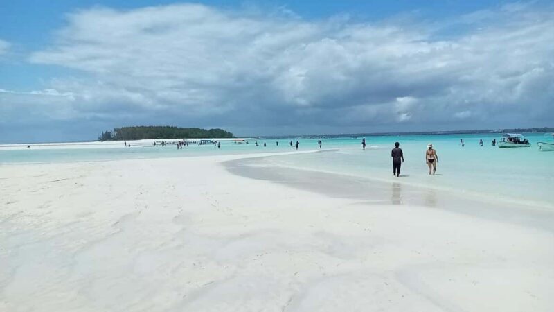 Mnemba Island Tour with Transfer - What’s Special About the Mnemba Island Tour?