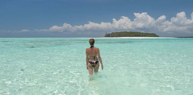 Mnemba Island Tour with Transfer - Dolphin Encounters and Marine Life