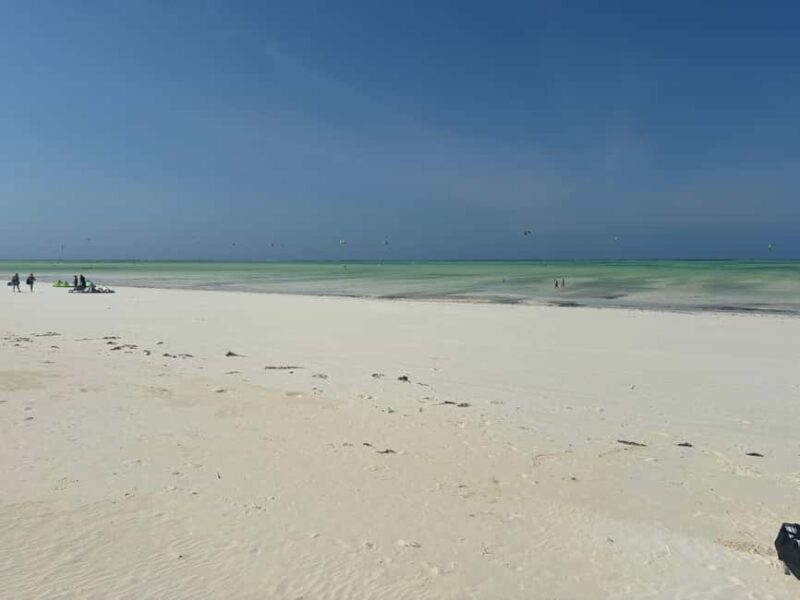 Mnemba Island, Turtle Tour, Kuza Cave, The Rock - The Sum Up: Who Will Love This Tour?
