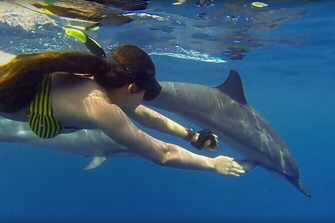 Mnemba Snorkeling, Dolphin and Baraka Natural Aquarium - The Details of the Tour: What to Expect