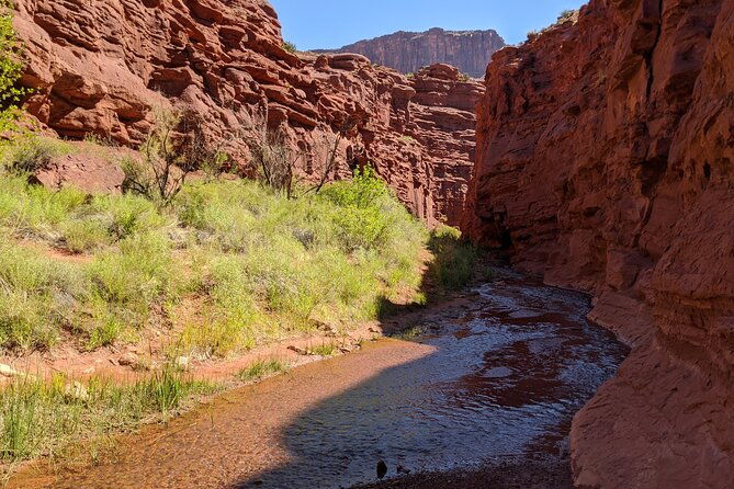 moabs-slot-canyon-hike-refreshingly-cool-summer-creek-adventure