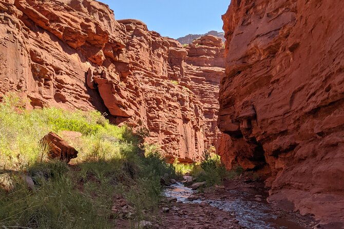 moabs-slot-canyon-hike-refreshingly-cool-summer-creek-adventure