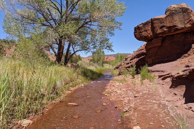 moabs-slot-canyon-hike-refreshingly-cool-summer-creek-adventure