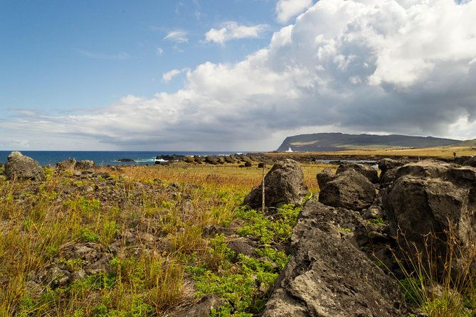 moai-rise-and-fall-full-day-private-tour
