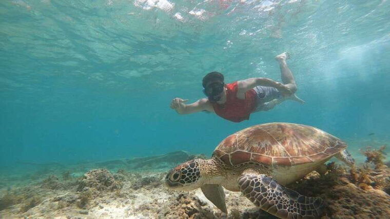 moalboal-island-hopping-adventure-kawasan-falls-excursion