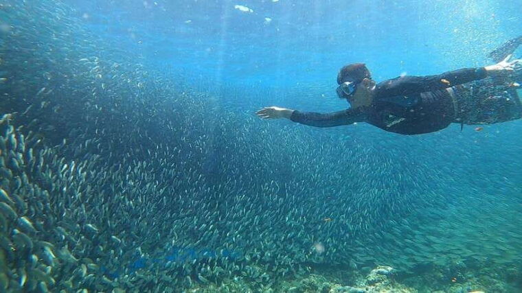 moalboal-island-hopping-adventure-kawasan-falls-excursion