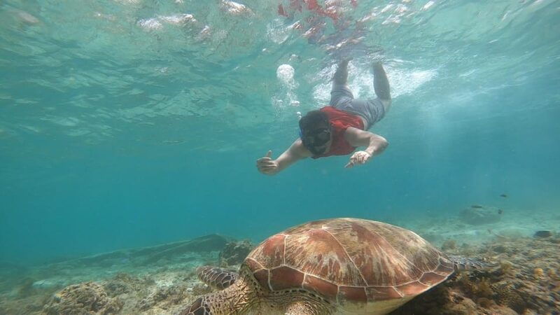 moalboal-island-hopping-and-mantayupan-falls-day-trip