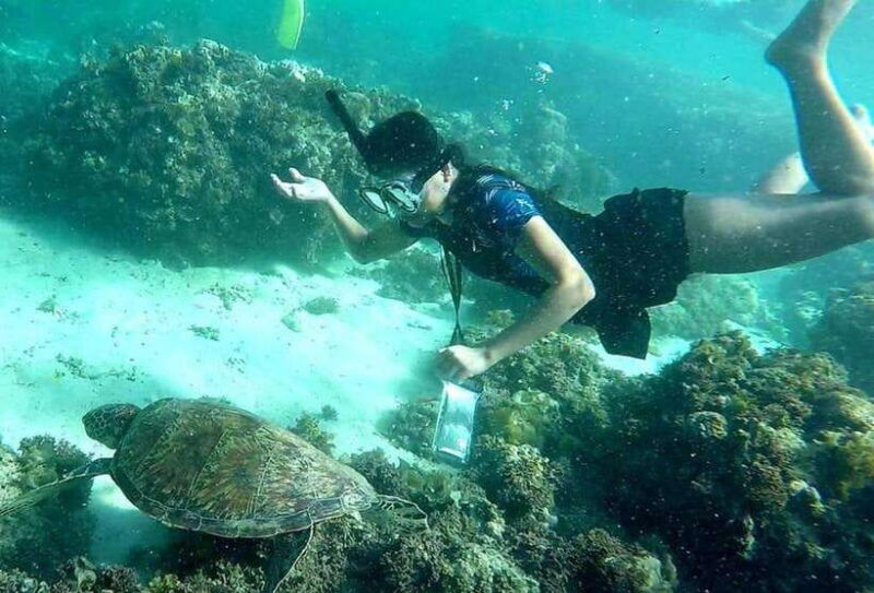 moalboal-pescador-island-hopping-adventure-and-sardine-run