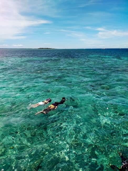 Moalboal: Private Beginner's Canyoning and Sardines & Turtle - Deep Dive into the Details