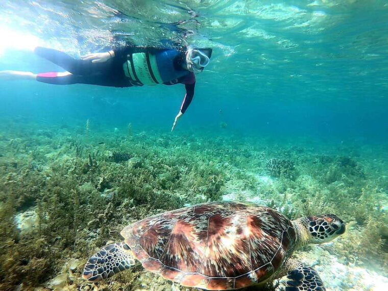 moalboal-sardine-run-turtles-and-pescador-island-hopping