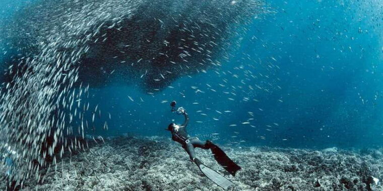 moalboal-sardines-turtle-snorkeling-and-kawasan-falls-tour