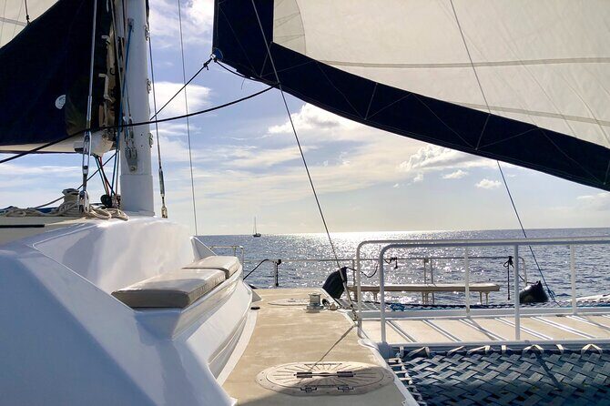 Moanas SwimnSail Cocktail Cruise Along the Waikiki Coast - A Deep Dive Into the Moanas SwimnSail Cocktail Cruise