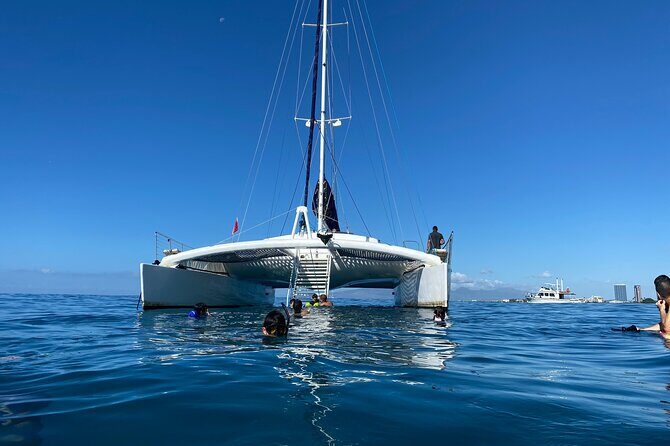 Moanas SwimnSail Cocktail Cruise Along the Waikiki Coast - What to Expect on the Day